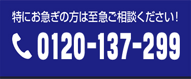0120-137-299