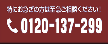 0120-137-299